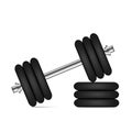 Realistic gym dumbbells. Equipment for bodybuilding and workout. Vector