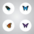 Realistic Hairstreak, Polyommatus Icarus, Common Blue And Other Vector Elements. Set Of Butterfly Realistic Symbols Also