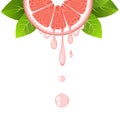 Realistic half grapefruit slice with leaves and drops of juice. Juicy fruit. Fresh citrus design on white vector illustration Royalty Free Stock Photo