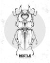 Realistic hand drawing beetle. Artistic Bug. Entomological illustration