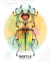 Realistic hand drawing beetle. Artistic Bug. Entomological illustration