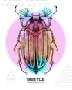 Realistic hand drawing beetle on watercolor background. Artistic Bug. Entomological illustration