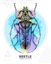 Realistic hand drawing longhorn beetle on watercolor background. Artistic Bug. Entomological illustration