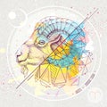 Realistic hand drawing and polygonal ram of mouflon head illustration on watercolor background. Magic card with Aries zodiac sign Royalty Free Stock Photo