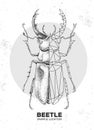 Realistic hand drawing and polygonal stag beetle. Artistic Bug. Entomological illustration