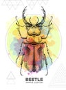 Realistic hand drawing stag beetle on watercolor background. Artistic Bug. Entomological illustration