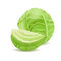 Realistic head of cabbage, vegetarian food