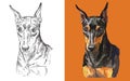 Vector illustration portrait of cute funny dog Miniature Pinscher