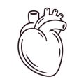 Realistic heart drawing Royalty Free Stock Photo