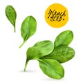 Realistic Herb Spinach