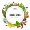 Realistic herbs dry spices roots set frame illustration Royalty Free Stock Photo