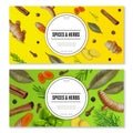 Realistic herbs dry spices roots set horizontal banners