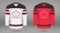 Realistic hockeyl kit