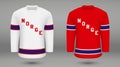 Realistic hockey kit team