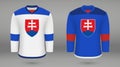 Realistic hockey kit team