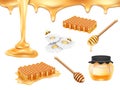 Realistic honey. Bee hive food. Gold comb healthy propolis. Honeycomb nectar dripping. Glass pot. Daisy with honeybee