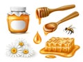 Realistic honey elements. Field chamomile, bees mined sweet taste product, wooden spoons with dripping syrup, glass jar