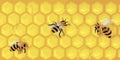 Realistic horizontal banner honeycomb with bees. beekeeping. honey and honey products. vector. template.