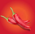 Realistic hot chilli pepper on the red background