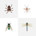 Realistic Housefly, Gnat, Damselfly And Other Vector Elements. Set Of Insect Realistic Symbols Also Includes Housefly