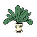 Realistic houseplant sign green leaf and yellow pot