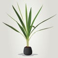 Realistic houseplant vector in bowl