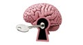 Key unlocking the secrets of the human brain Royalty Free Stock Photo
