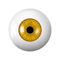 Realistic human brown eyeball. The retina is the foreground. Vector 3d illustration. Realistic 3d vector illustration isolated on