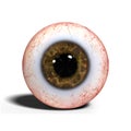 Realistic human eye with brown iris isolated on white background 3d illustration Royalty Free Stock Photo