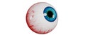 Realistic human eye isolated on a white background. Realistic bloody eyeball, 3d render. illustration for Halloween