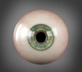 Realistic human eyeball blue iris pupil Royalty Free Stock Photo