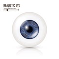 Realistic Human Eyeball. 3d Glossy Photorealistic Eye Detail With Shadow And Reflection. On White Background Royalty Free Stock Photo