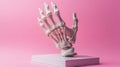 Realistic Human Hand Bone Structure Model on Pink Background for Educational Purposes Royalty Free Stock Photo