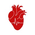 Realistic human heart icon with heartbeat on white background Royalty Free Stock Photo