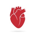 Realistic human heart vector icon Royalty Free Stock Photo