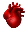 Realistic human heart vector illustration. 3d cardiology model isolated on white background. Red heart, internal organ Royalty Free Stock Photo