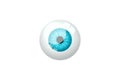 Realistic human pupil blue isolated on white background. eyeball, iris, anatomy of the organ of vision. 3D render, 3D illustration Royalty Free Stock Photo