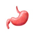 Realistic Human Stomach Composition Royalty Free Stock Photo