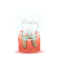 Realistic human tooth in pink gum with blue protective shield on white Royalty Free Stock Photo