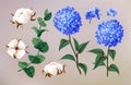 Realistic hydrangea. Cotton flowers. Eucalyptus leaves. Hortencia blossoms. Floral decoration. Summer nature wedding Royalty Free Stock Photo