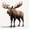 Eerily Realistic Moose 3d Render On White Background