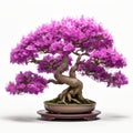 Violet Bonsai Tree With Purple Blooms - 3d Rendered Image