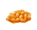 Baked Beans Icon Royalty Free Stock Photo