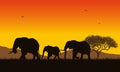 Realistic illustration of African landscape with safari, trees and family of elephants under orange sky with rising sun. Mountains Royalty Free Stock Photo