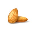 Realistic illustration almonds on white transparent background. Nuts on isolated background. Photorealistic 3D illustration for pa