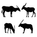 Realistic illustration of anilope or gazelle silhouettes. Standing and grazing, isolated on white background, vector