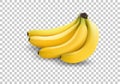 Realistic illustration bananas, 3d vector icons. Banana isolated on white background, banana icon Royalty Free Stock Photo