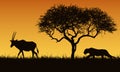 Realistic illustration of a creeping lion and gazelle or antelope silhouettes. The feline hunts for an oryx. Safari landscape with Royalty Free Stock Photo