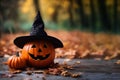 Adorable Cute Carved Pumpkin Halloween Witch Hat Autumn Background