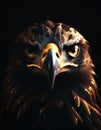 realistic illustration of eagle face isolated on black background